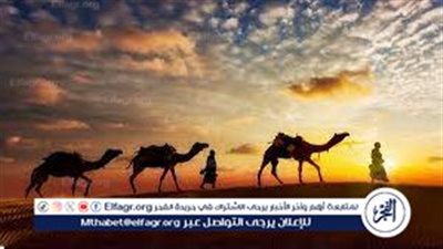 أستاذ اجتماع: وثيقة المدينة بعد الهجرة أرست مبادئ حقوق الإنسان (فيديو)