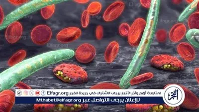 أول تعليق للصحة على ما تردد عن انتشار مرض الملاريا في مصر