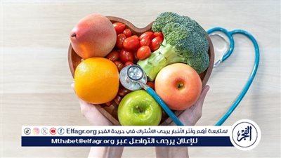 التغذية والصحة العامة: دور التغذية في الوقاية من الأمراض المزمنة وتأثير الأنظمة الغذائية على صحة القلب
