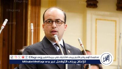 برلماني: مصر لديها فرص صناعية ضخمة جدا