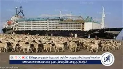 تداول 13 ألف طن بضائع بموانئ البحر الأحمر