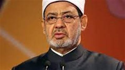 شيخ الأزهر يؤكد أهمية حشد الجهود لوقف العدوان على غزة