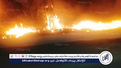 حريق يلتهم 7 أفدنة مانجو في الفيوم 