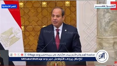 السيسي يؤكد رفض مصر القاطع لتهجير الفلسطينيين ومحاولة تصفية القضية (فيديو)