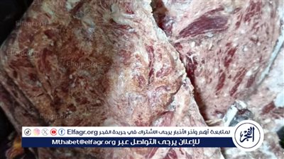 ضبط وإعدام أكثر من 2 طن أغذية فاسدة ومجهولة المصدر بدمياط