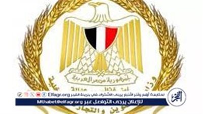 ضبط 700 كجم اسماك ولحوم ودواجن غير صالحة ومصنعات كفتة مجهولة المصدر بالمنوفية