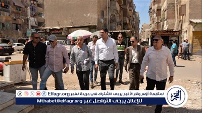 نائب محافظ الدقهلية يتابع ملف النظافة بشوارع المنصورة (صور) 