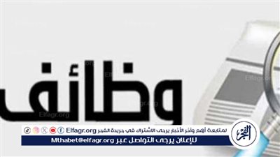 القوى العاملة بالقليوبية تعلن عن 181 فرصة عمل في 3 شركات بمرتبات مجزية