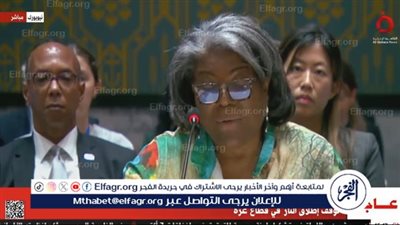 مندوبة الولايات المتحدة: نعمل بلا توقف للوصول لاتفاق وقف إطلاق النار في غزة (فيديو)