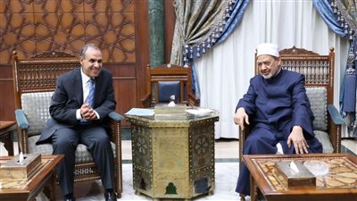 وزير الخارجية للإمام الأكبر: سفاراتنا في الخارج مُسخَّرة لخدمة الأزهر