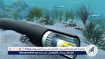 تداعيات العطل التقني العالمي على القطاعات الحيوية وتأثيراته في مختلف البلدان