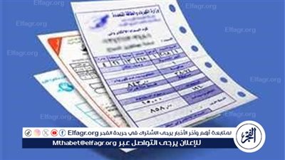 طريقة الاستعلام عن فاتورة الكهرباء.. والدفع فوري