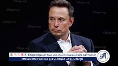 ماسك: الولايات المتحدة ستواجه مجاعة جماعية بسبب خطة هاريس لمكافحة ارتفاع الأسعار