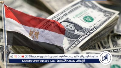 خبير: مصر نجحت في خفض الدين الخارجي بقيمة 3 مليارات دولار (فيديو)