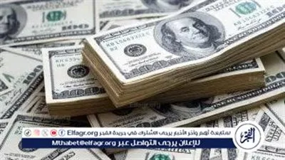 خبير اقتصادي: الدولار يأتي عبر البنوك.. والتدفقات خارج النظام المصرفي تراجعت