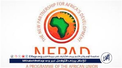 دبلوماسي سابق: قمة النيباد تهدف لمناقشة كل التحديات التي تواجه القارة السمراء (فيديو)