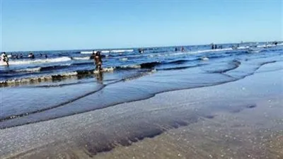 هل تتعرض مصر لزلزال مدمر؟.. أستاذ مناخ يوضح