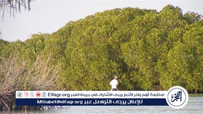  إطلاق مبادرة 