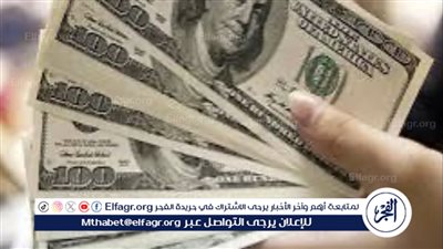 استقرار سعر الدولار مقابل الجنيه المصري اليوم 24 يوليو 2024