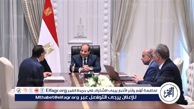 عاجل| السيسي يصدر توجيهات جديدة خاصة بقطاع الطاقة 