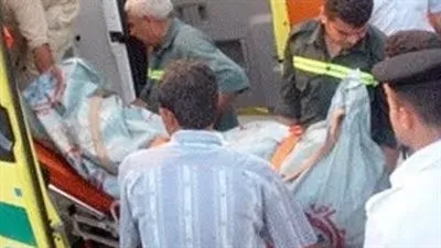 ضبط مزارع قتل محكم عرفي أثناء الصلح مع شقيقه في البحيرة