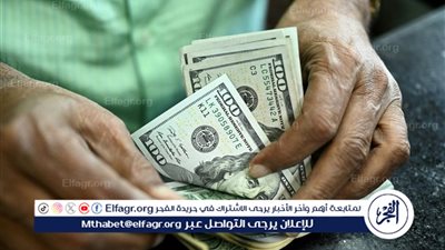 مع بدء إجازة ثورة 23 يوليو للبنوك.. سعر الدولار مقابل الجنيه اليوم الخميس
