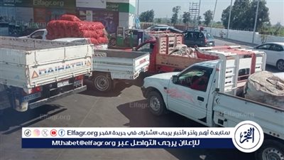 بعد تحريك أسعار الوقود.. زحام علي محطات البنزين في البحيرة (صور)