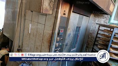 تحرير 164 محضرًا وسحب 81 عينة للفحص في حملة صحية بالدقهلية 