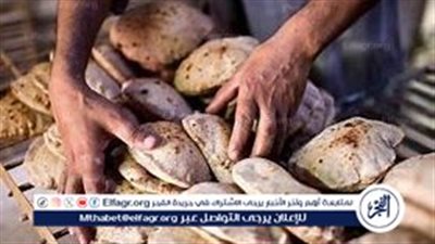  رغم زيادة أسعار السولار.. تثبيت سعر الخبز المدعم