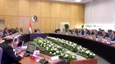 عاجل| وزيرة التعاون الدولي: توجيه 37% من الاستثمارات الحكومية هذا العام للتنمية الصناعية