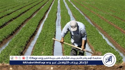 البحوث الزراعية توجه تحذيرا مهما لـ المزارعين: 