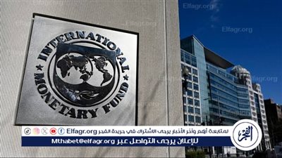 خبير اقتصادي يكشف موقف صندوق النقد من الدفعة الأخيرة للقرض المقدم لمصر (فيديو)