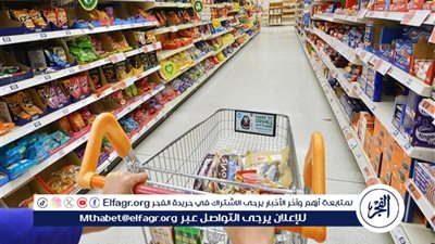 السجن وغرامة تصل لـ 3 ملايين جنيه.. تعرف على عقوبة احتكار السلع بقانون حماية المستهلك
