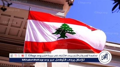 وزير الزراعة اللبناني: القصف الإسرائيلي أحرق 60 ألف شجرة زيتون يصل عمر بعضها إلى 300 عام