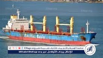 تداول 45 ألف طن و775 شاحنة بضائع بموانئ البحر الأحمر 