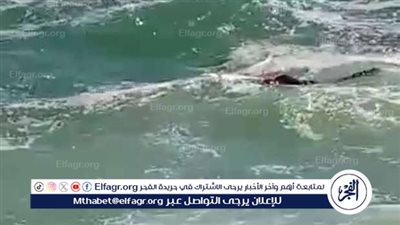 نزل البحر للسباحة ولم يخرج من المياه.. بلاغ بغريق على شاطئ بورسعيد