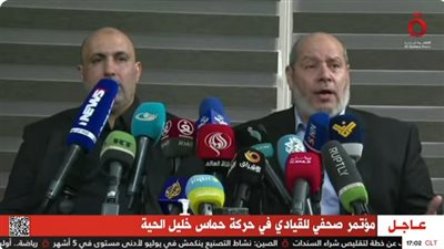 قيادي في حماس: اغتيال إسماعيل هنية لن يمر دون رد (فيديو)