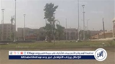 توقعات الطقس في مصر اليوم الخميس 1 أغسطس 2024: حرارة مرتفعة وأمطار رعدية في بعض المناطق