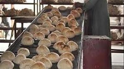 عاجل | قرارًا جديدًا من وزير التموين بشأن تكلفة وسعر رغيف الخبز (مستند)