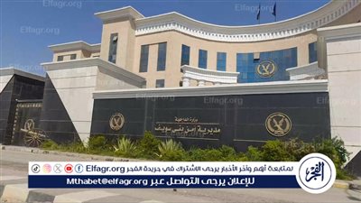 جريمة مأساوية ببني سويف.. اتهام كاذب يقود لشقيقين لقتل أخيهما