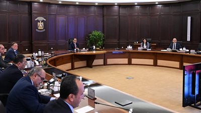 رئيس الوزراء يتابع مستجدات برنامج الطروحات الحكومية