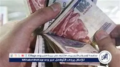 احصل على دخل شهري ثابت: كيف يمكنك كسب 8600 جنيه شهريًا عبر شهادات البنك الأهلي المصري