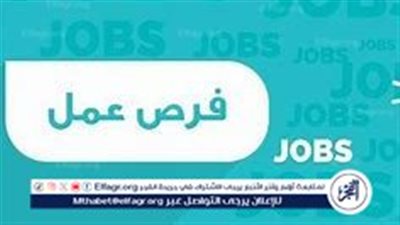 فرص عمل جديدة في شركة 