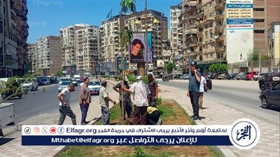 استئناف أعمال مبادرة زراعة 100 مليون شجرة بنطاق محافظة الدقهلية