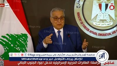 وزير خارجية لبنان: مصر دولة محورية قادرة على لعب دور قيادي في المنطقة 