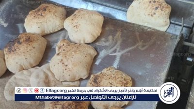 ضبط 125 مخالفة متنوعة في مجال المخابز والأسواق بحملات تموينية بمراكز الفيوم