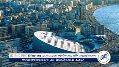 أحمد زايد: مكتبة الإسكندرية تحفظ تاريخ مصر بكل المعايير المهنية 