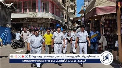 حملات مكبرة لرفع الإشغالات في المنشية بالإسكندرية 