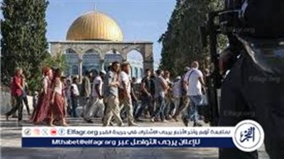 رتيبة النتشة: إسرائيل تسعى لفرض سيادة يهودية كاملة على المسجد الأقصى (فيديو)