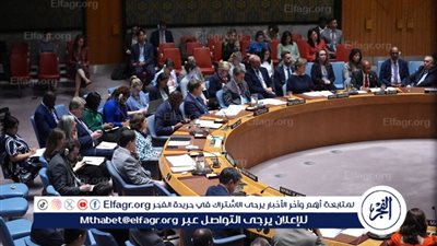 الأممية لحقوق الإنسان تطالب باقتصار 